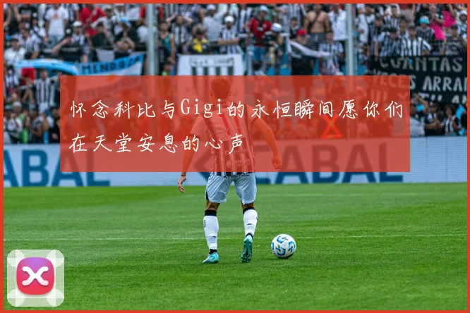 怀念科比与Gigi的永恒瞬间愿你们在天堂安息的心声