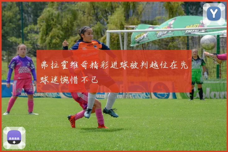 弗拉霍维奇精彩进球被判越位在先球迷惋惜不已